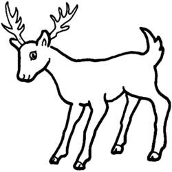 Dibujo para colorear: Ciervo (Animales) #2561 - Dibujos para Colorear e Imprimir Gratis