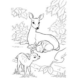 Dibujo para colorear: Ciervo (Animales) #2565 - Dibujos para Colorear e Imprimir Gratis