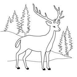 Dibujo para colorear: Ciervo (Animales) #2567 - Dibujos para Colorear e Imprimir Gratis