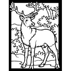 Dibujo para colorear: Ciervo (Animales) #2571 - Dibujos para Colorear e Imprimir Gratis