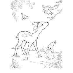 Dibujo para colorear: Ciervo (Animales) #2574 - Dibujos para Colorear e Imprimir Gratis