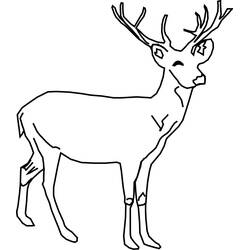Dibujo para colorear: Ciervo (Animales) #2582 - Dibujos para Colorear e Imprimir Gratis