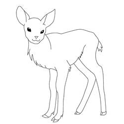Dibujo para colorear: Ciervo (Animales) #2585 - Dibujos para Colorear e Imprimir Gratis