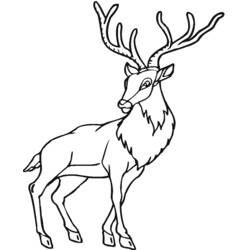 Dibujo para colorear: Ciervo (Animales) #2587 - Dibujos para Colorear e Imprimir Gratis