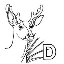Dibujo para colorear: Ciervo (Animales) #2588 - Dibujos para Colorear e Imprimir Gratis