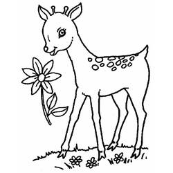 Dibujo para colorear: Ciervo (Animales) #2592 - Dibujos para Colorear e Imprimir Gratis