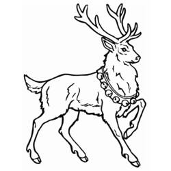 Dibujo para colorear: Ciervo (Animales) #2597 - Dibujos para Colorear e Imprimir Gratis