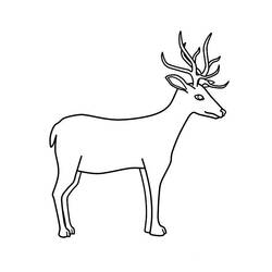 Dibujo para colorear: Ciervo (Animales) #2609 - Dibujos para Colorear e Imprimir Gratis