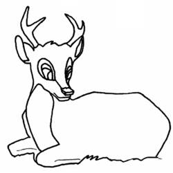 Dibujo para colorear: Ciervo (Animales) #2620 - Dibujos para Colorear e Imprimir Gratis