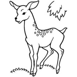Dibujo para colorear: Ciervo (Animales) #2627 - Dibujos para Colorear e Imprimir Gratis
