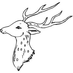 Dibujo para colorear: Ciervo (Animales) #2633 - Dibujos para Colorear e Imprimir Gratis