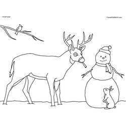 Dibujo para colorear: Ciervo (Animales) #2637 - Dibujos para Colorear e Imprimir Gratis