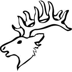 Dibujo para colorear: Ciervo (Animales) #2649 - Dibujos para Colorear e Imprimir Gratis