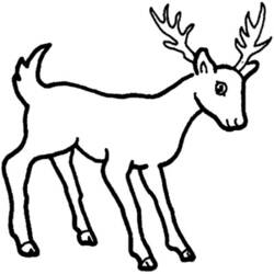 Dibujo para colorear: Ciervo (Animales) #2650 - Dibujos para Colorear e Imprimir Gratis