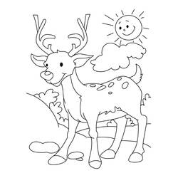 Dibujo para colorear: Ciervo (Animales) #2651 - Dibujos para Colorear e Imprimir Gratis