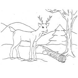 Dibujo para colorear: Ciervo (Animales) #2658 - Dibujos para Colorear e Imprimir Gratis