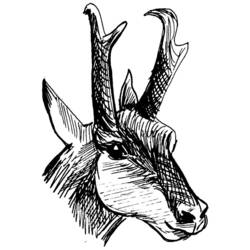 Dibujo para colorear: Ciervo (Animales) #2701 - Dibujos para Colorear e Imprimir Gratis