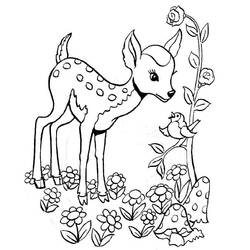Dibujo para colorear: Ciervo (Animales) #2723 - Dibujos para Colorear e Imprimir Gratis