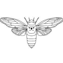 Dibujo para colorear: Cigarra (Animales) #187676 - Dibujos para Colorear e Imprimir Gratis