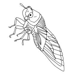 Dibujo para colorear: Cigarra (Animales) #187682 - Dibujos para Colorear e Imprimir Gratis