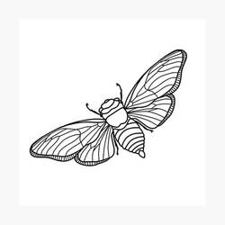 Dibujo para colorear: Cigarra (Animales) #187690 - Dibujos para Colorear e Imprimir Gratis