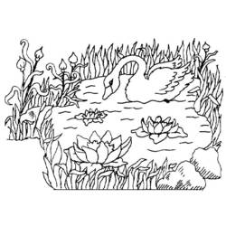 Dibujo para colorear: Cisne (Animales) #5019 - Dibujos para Colorear e Imprimir Gratis