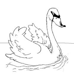 Dibujo para colorear: Cisne (Animales) #5024 - Dibujos para Colorear e Imprimir Gratis
