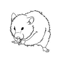 Dibujo para colorear: Cobaya (Animales) #211152 - Dibujos para Colorear e Imprimir Gratis