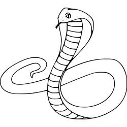 Dibujo Cobra (Animales) #212664 para imprimir y colorear