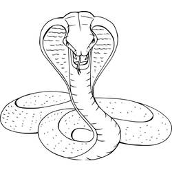 Dibujo Cobra (Animales) #212665 para imprimir y colorear