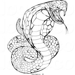 Dibujo para colorear: Cobra (Animales) #3263 - Dibujos para Colorear e Imprimir Gratis