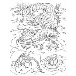 Dibujo para colorear: Cocodrilo (Animales) #4820 - Dibujos para Colorear e Imprimir Gratis