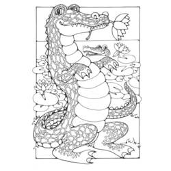 Dibujo para colorear: Cocodrilo (Animales) #4887 - Dibujos para Colorear e Imprimir Gratis