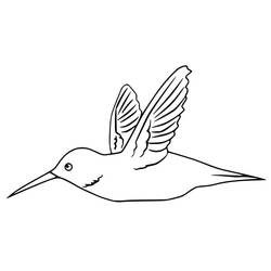 Dibujo para colorear: Colibrí (Animales) #208593 - Dibujos para Colorear e Imprimir Gratis