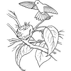 Dibujo para colorear: Colibrí (Animales) #208617 - Dibujos para Colorear e Imprimir Gratis