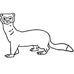 Dibujo para colorear: Comadreja (Animales) #205434 - Dibujos para Colorear e Imprimir Gratis