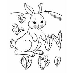 Dibujo Conejo (Animales) #177179 para imprimir y colorear