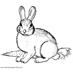 Dibujo para colorear: Conejo (Animales) #9519 - Dibujos para Colorear e Imprimir Gratis