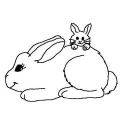 Dibujo para colorear: Conejo (Animales) #9532 - Dibujos para Colorear e Imprimir Gratis