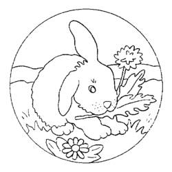 Dibujo para colorear: Conejo (Animales) #9536 - Dibujos para Colorear e Imprimir Gratis