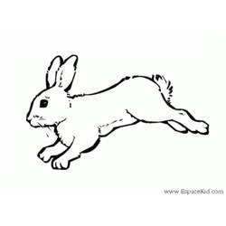 Dibujo para colorear: Conejo (Animales) #9560 - Dibujos para Colorear e Imprimir Gratis