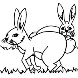 Dibujo para colorear: Conejo (Animales) #9580 - Dibujos para Colorear e Imprimir Gratis