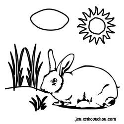 Dibujo para colorear: Conejo (Animales) #9584 - Dibujos para Colorear e Imprimir Gratis