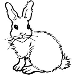 Dibujo para colorear: Conejo (Animales) #9625 - Dibujos para Colorear e Imprimir Gratis