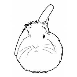 Dibujo para colorear: Conejo (Animales) #9641 - Dibujos para Colorear e Imprimir Gratis