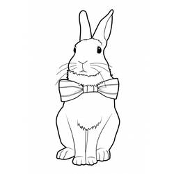 Dibujo para colorear: Conejo (Animales) #9651 - Dibujos para Colorear e Imprimir Gratis