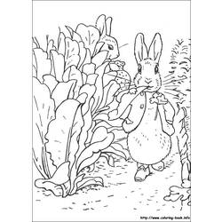 Dibujo para colorear: Conejo (Animales) #9664 - Dibujos para Colorear e Imprimir Gratis