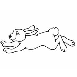 Dibujo para colorear: Conejo (Animales) #9677 - Dibujos para Colorear e Imprimir Gratis