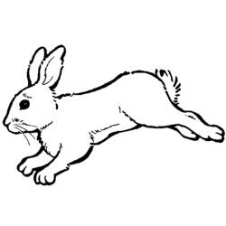 Dibujo para colorear: Conejo (Animales) #9702 - Dibujos para Colorear e Imprimir Gratis