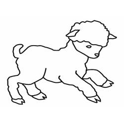 Dibujo Cordero (Animales) #184266 para imprimir y colorear